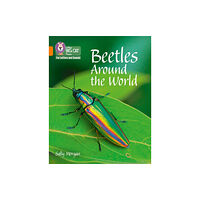 HarperCollins Publishers Beetles Around the World (häftad, eng)