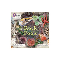 HarperCollins Publishers Rock Pools (häftad, eng)