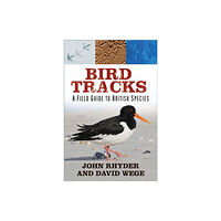 The History Press Ltd Bird Tracks (häftad, eng)