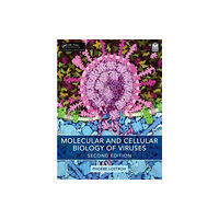 Taylor & francis ltd Molecular and Cellular Biology of Viruses (häftad, eng)