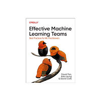 O'Reilly Media Effective Machine Learning Teams (häftad, eng)