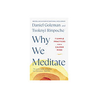 Penguin books ltd Why We Meditate (inbunden, eng)