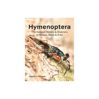 Firefly Books Ltd Hymenoptera (inbunden, eng)