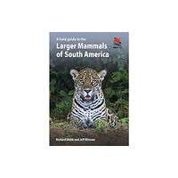 Princeton University Press A Field Guide to the Larger Mammals of South America (häftad, eng)