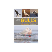 Princeton University Press Gulls of Europe, North Africa, and the Middle East (häftad, eng)
