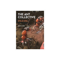 Princeton University Press The Ant Collective (inbunden, eng)