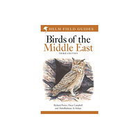 Bloomsbury Publishing PLC Field Guide to Birds of the Middle East (häftad, eng)