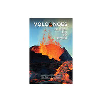 Austin Macauley Publishers Volcanoes: Child Abuse, Rage and Recovery (häftad, eng)