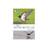 Bloomsbury Publishing PLC RSPB Spotlight Swifts and Swallows (häftad, eng)
