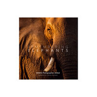 Remembering Wildlife Remembering Elephants (inbunden, eng)