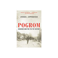 W W Norton & Co Ltd Pogrom (häftad, eng)