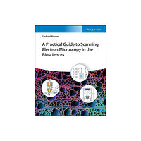 Wiley-VCH Verlag GmbH A Practical Guide to Scanning Electron Microscopy in the Biosciences (inbunden, eng)