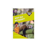 HarperCollins Publishers Shinoy and the Chaos Crew: Why do we sleep? (häftad, eng)