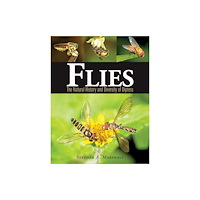 Firefly Books Ltd Flies (inbunden, eng)