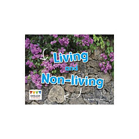 Capstone Global Library Ltd Living and Non-Living (häftad, eng)