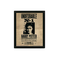 Pyramid International Harry Potter (Harry & Sirius) Framed 10 x 8" 3D Lenticular Poster (Framed)