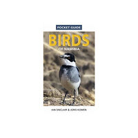 Penguin Random House South Africa Pocket Guide to Birds of Namibia (häftad, eng)