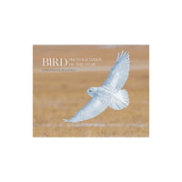 HarperCollins Publishers Bird Photographer of the Year (inbunden, eng)