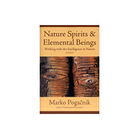 Inner Traditions Bear and Company Nature Spirits & Elemental Beings (häftad, eng)