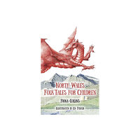 The History Press Ltd North Wales Folk Tales for Children (häftad, eng)