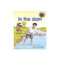 Capstone Global Library Ltd In the dam (häftad, eng)
