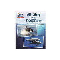 Hachette Learning Reading Planet - Whales and Dolphins - White: Galaxy (häftad, eng)
