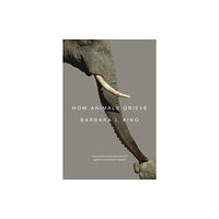 The university of chicago press How Animals Grieve (häftad, eng)