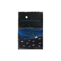 Duke university press Feminism Against Cisness (häftad, eng)