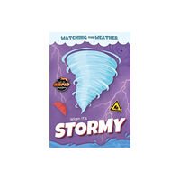 BookLife Publishing When It's Stormy (häftad, eng)