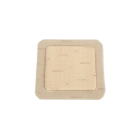 MEPILEX Mepilex Border Flex 10x10cm 5/fp