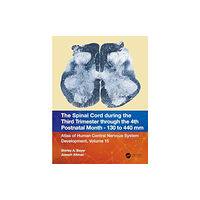 Taylor & francis ltd The Spinal Cord during the Middle Second Trimester through the 4th Postnatal Month 130- to 440-mm Crown-Rump Lengths (hä...