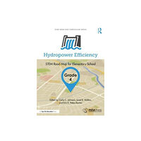 Taylor & francis ltd Hydropower Efficiency, Grade 4 (häftad, eng)