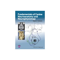 John Wiley And Sons Ltd Fundamentals of Canine Neuroanatomy and Neurophysiology (häftad, eng)