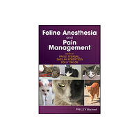 John Wiley And Sons Ltd Feline Anesthesia and Pain Management (häftad, eng)