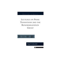 Taylor & francis inc Lectures On Phase Transitions And The Renormalization Group (häftad, eng)