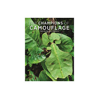 Firefly Books Ltd Champions of Camouflage (häftad, eng)