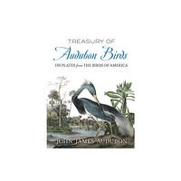 Dover publications inc. Treasury of Audubon Birds (häftad, eng)