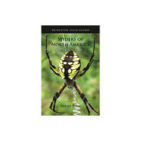 Princeton University Press Spiders of North America (häftad, eng)