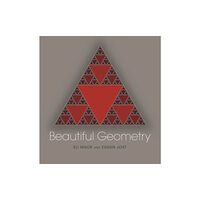Princeton University Press Beautiful Geometry (häftad, eng)