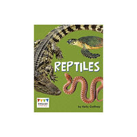 Capstone Global Library Ltd Reptiles (häftad, eng)