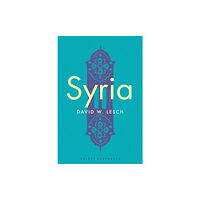 John Wiley And Sons Ltd Syria (häftad, eng)