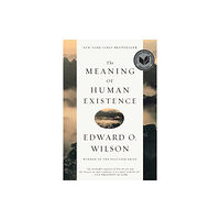 W W Norton & Co Ltd The Meaning of Human Existence (häftad, eng)