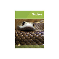Ransom Publishing Snakes (häftad, eng)