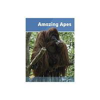 Ransom Publishing Amazing Apes (häftad, eng)