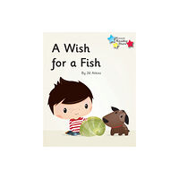 Ransom Publishing A Wish for a Fish (häftad, eng)