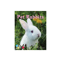 Ransom Publishing Pet Rabbits (häftad, eng)