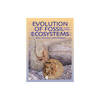 Manson Publishing Ltd Evolution of Fossil Ecosystems (häftad, eng)