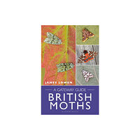 Bloomsbury Publishing PLC British Moths (bok, spiral, eng)