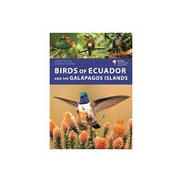 Bloomsbury Publishing PLC Birds of Ecuador and the Galapagos Islands (häftad, eng)