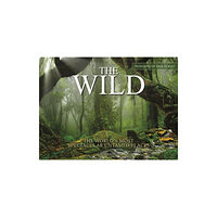 Amber Books Ltd The Wild (inbunden, eng)